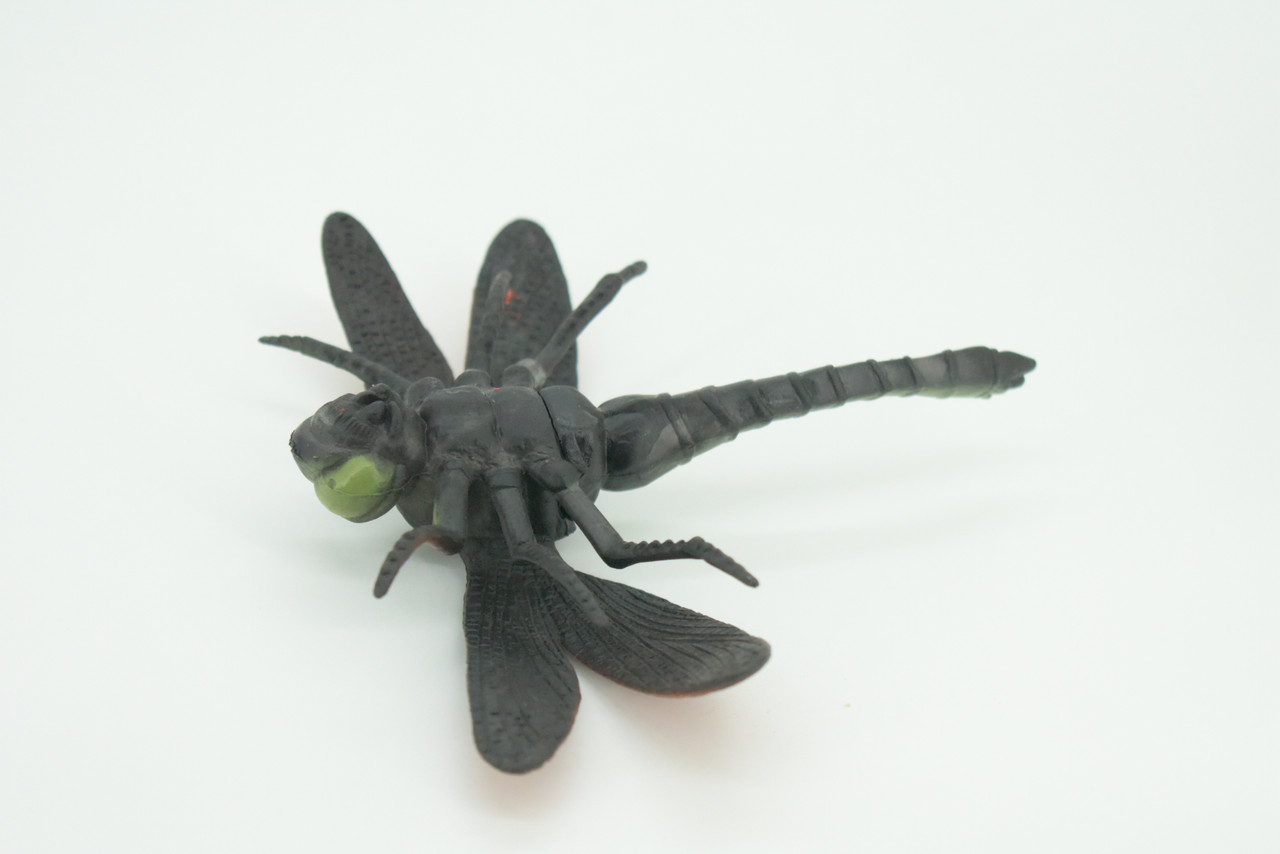 Dragonfly, Green and Red, Emerald Dragonflies, Hand Painted, Rubber Insect, Educational, Realistic Figure, Lifelike Model, Gift,   5"  AR24 B329