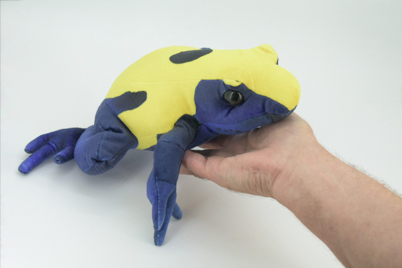 Poison Dart Frog, Very Nice Plush Frog, Stuffed Amphibian, Educational, Realistic Figure, Lifelike Model, Replica, Gift ,   12"   WR11 BB313 