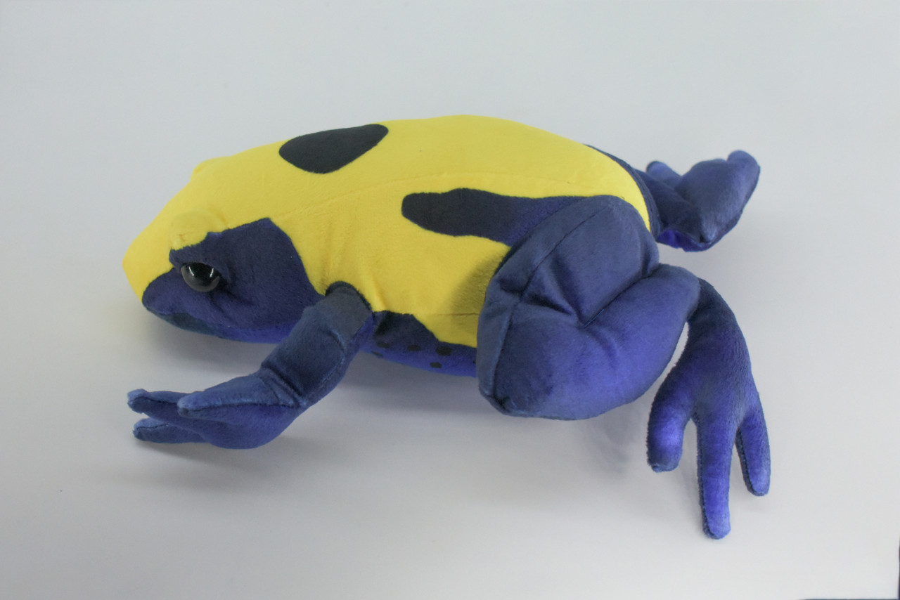 Poison Dart Frog, Very Nice Plush Frog, Stuffed Amphibian, Educational, Realistic Figure, Lifelike Model, Replica, Gift ,   12"   WR11 BB313 