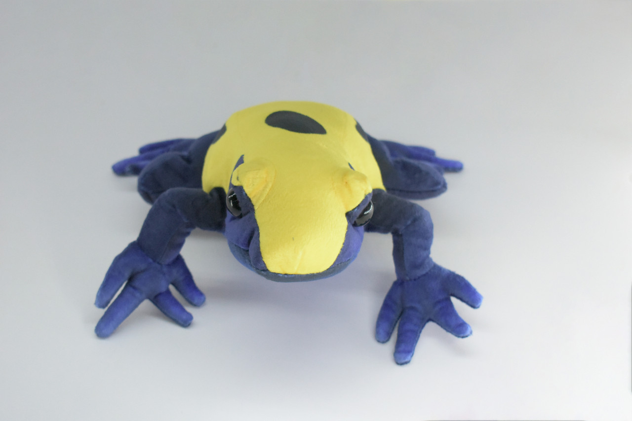 Poison Dart Frog, Very Nice Plush Frog, Stuffed Amphibian, Educational, Realistic Figure, Lifelike Model, Replica, Gift ,   12"   WR11 BB313 