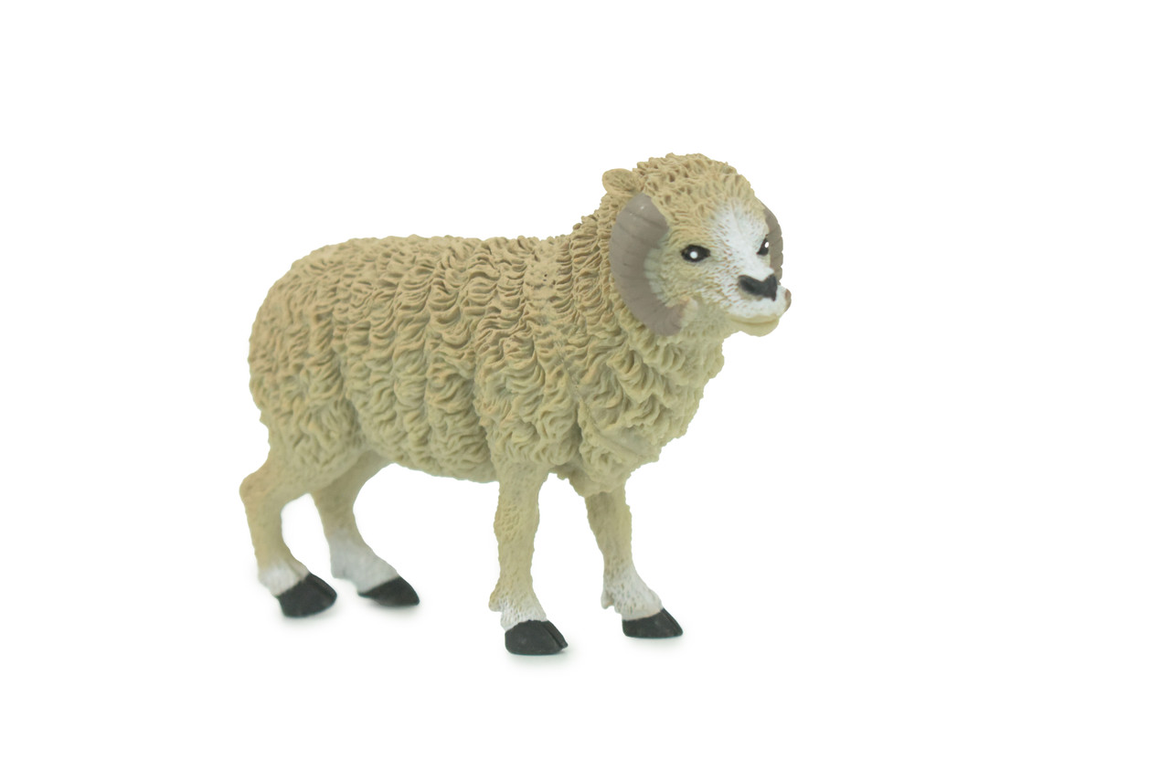 Sheep Toy