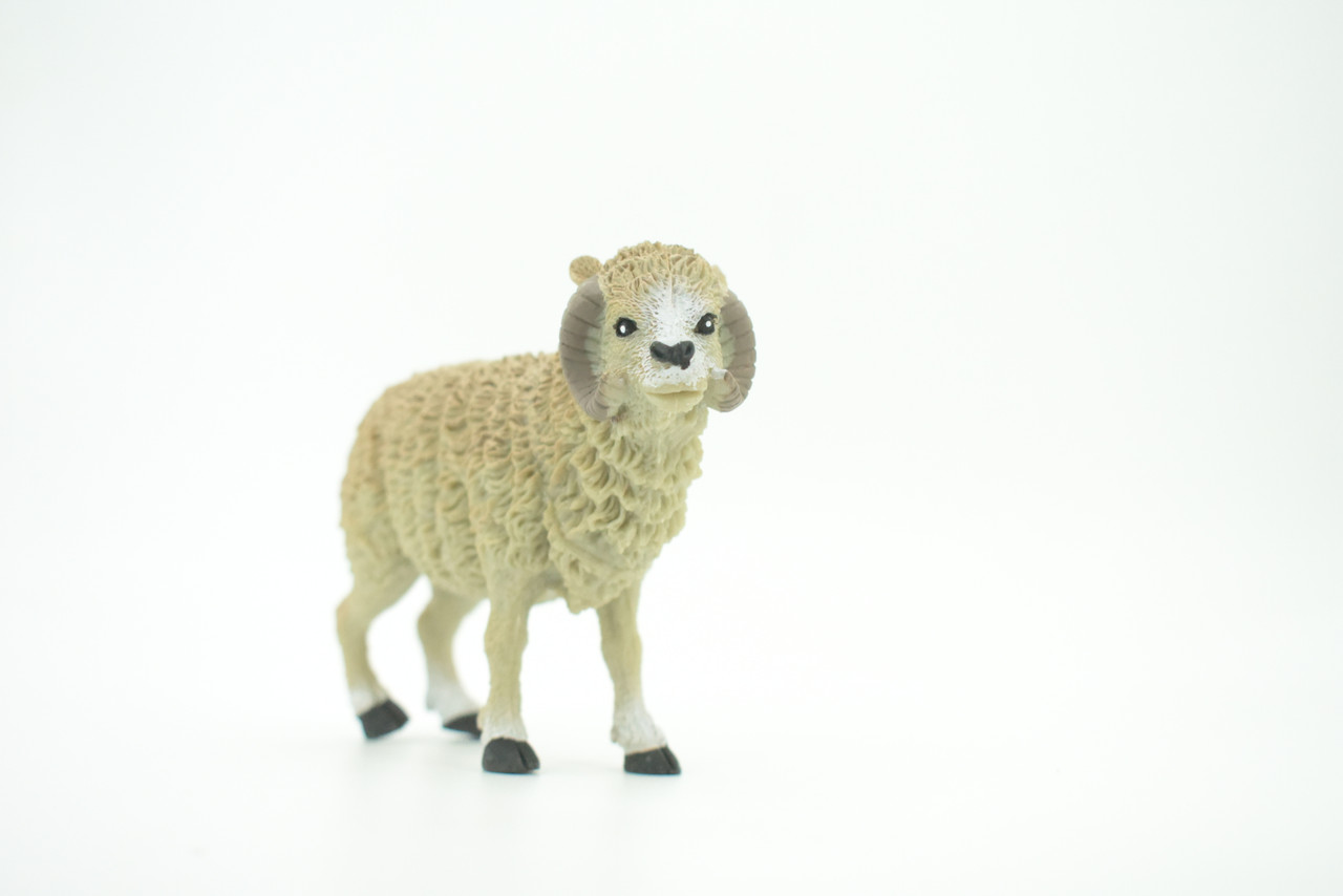 Sheep, Domestic Ram, Educational, Hand Painted, Plastic Animal, Realistic, Toy Figure, Model, Replica, Kids, Gift,      4 1/2"   WR18 B233