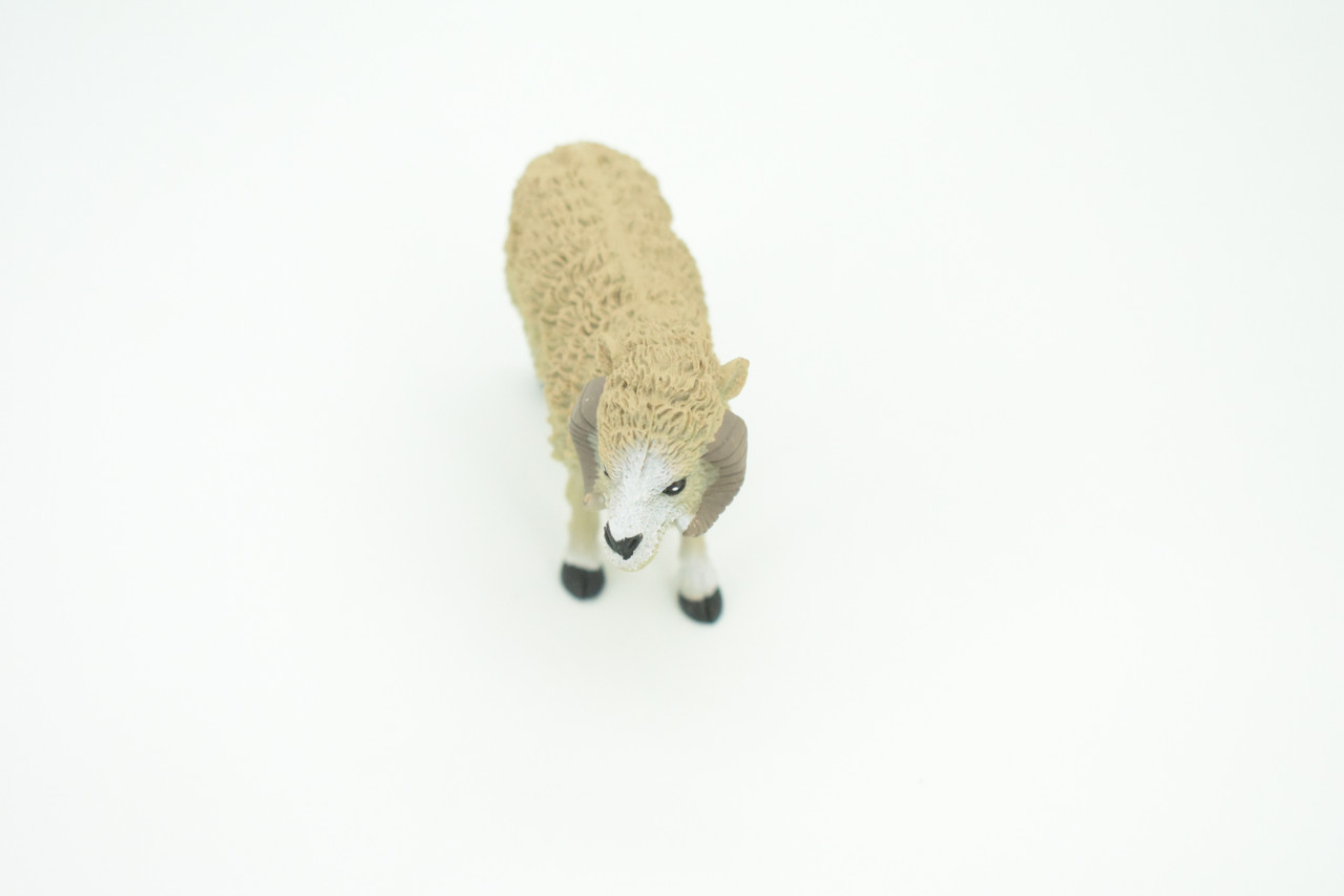 Sheep, Domestic Ram, Educational, Hand Painted, Plastic Animal, Realistic, Toy Figure, Model, Replica, Kids, Gift,      4 1/2"   WR18 B233