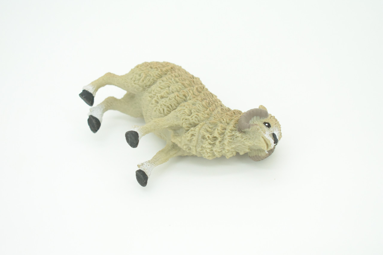 Sheep, Domestic Ram, Educational, Hand Painted, Plastic Animal, Realistic, Toy Figure, Model, Replica, Kids, Gift,      4 1/2"   WR18 B233