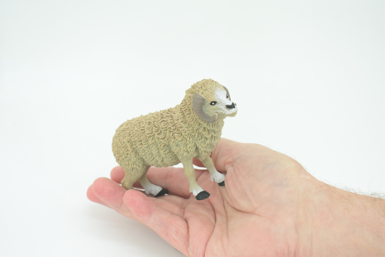 Sheep, Domestic Ram, Educational, Hand Painted, Plastic Animal, Realistic, Toy Figure, Model, Replica, Kids, Gift,      4 1/2"   WR18 B233