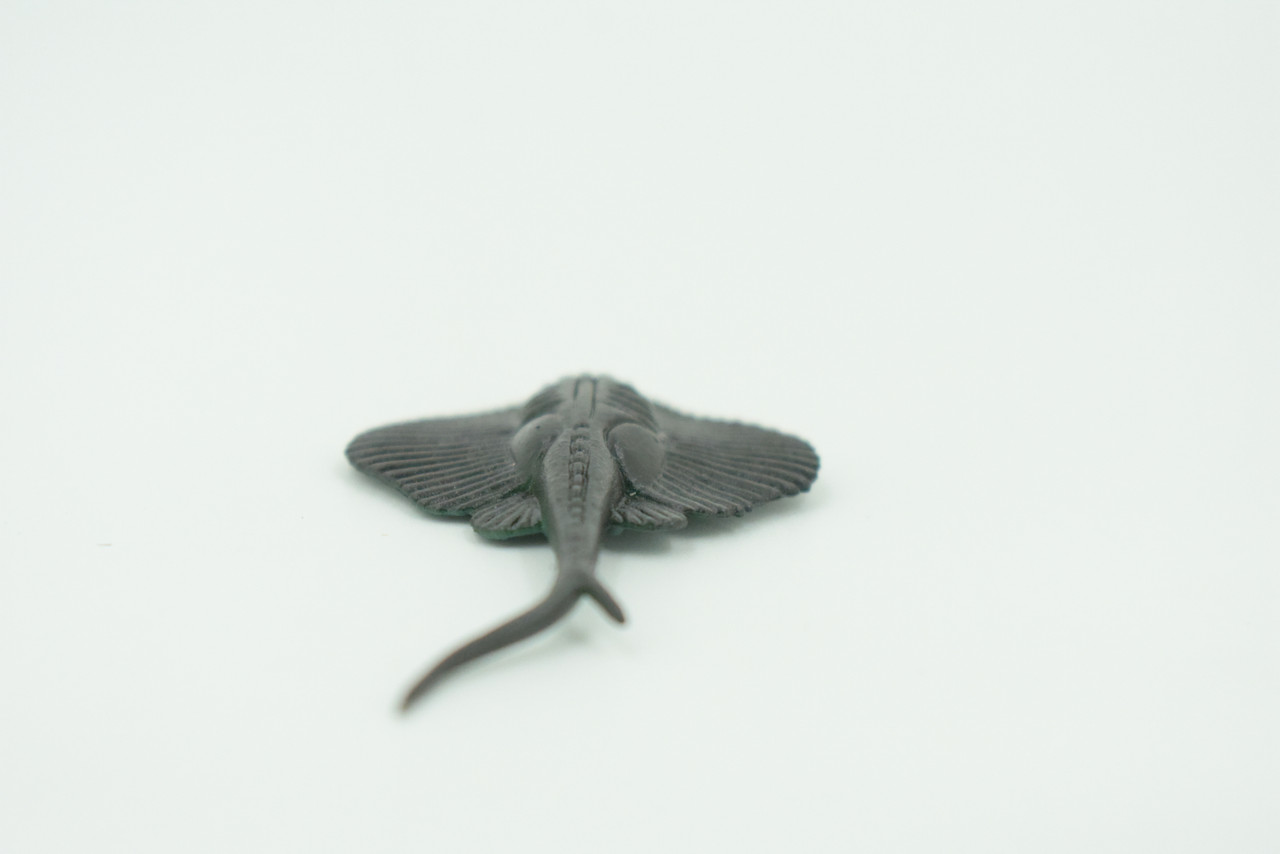 Stingray, Rubber Fish, Realistic Toy Figure, Model, Replica, Kids, Hand Painted, Educational, Gift,    2 3/4"    F596 B34