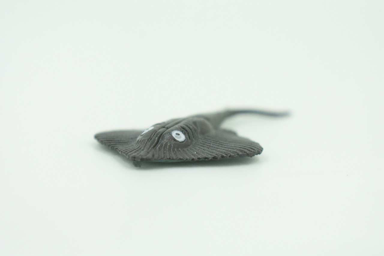 Stingray, Rubber Fish, Realistic Toy Figure, Model, Replica, Kids, Hand Painted, Educational, Gift,    2 3/4"    F596 B34