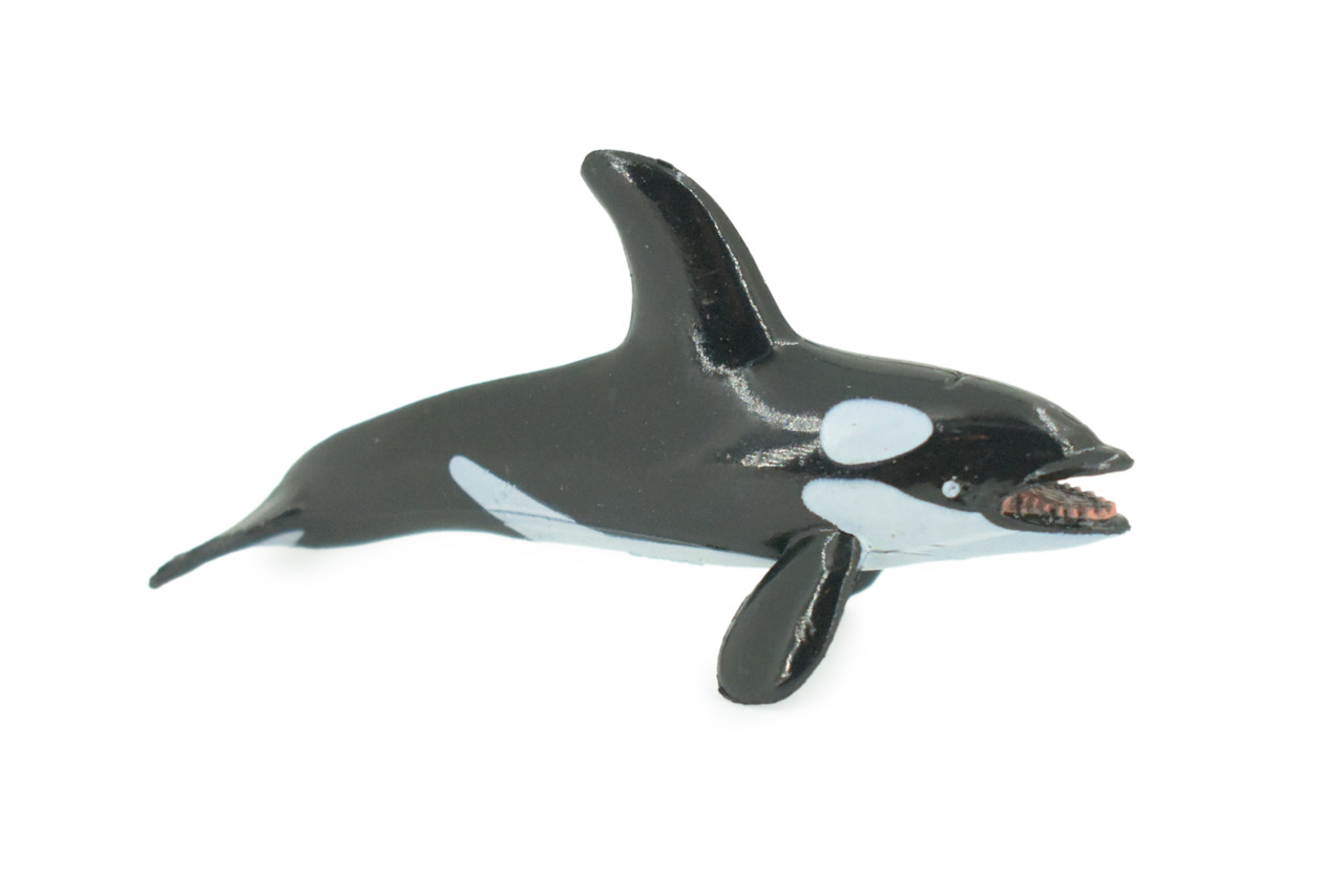 Orca, Killer Whale, Very Nice Plastic Animal, Educational, Toy, Kids, Realistic Figure, Lifelike Model, Figurine, Replica, Gift, 2 3/4" F7045 B67