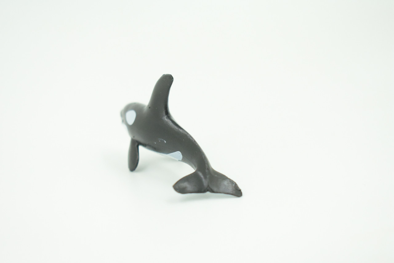 Orca, Killer Whale, Very Nice Plastic Animal, Educational, Toy, Kids, Realistic Figure, Lifelike Model, Figurine, Replica, Gift,   2 3/4"    F7045 B67