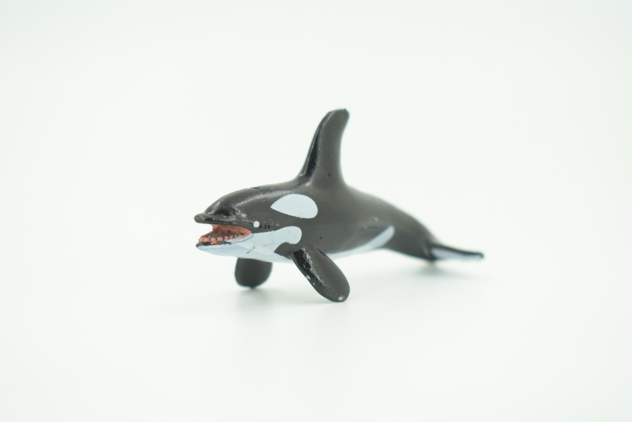 Orca, Killer Whale, Very Nice Plastic Animal, Educational, Toy, Kids, Realistic Figure, Lifelike Model, Figurine, Replica, Gift,   2 3/4"    F7045 B67