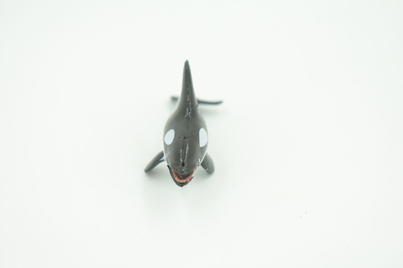 Orca, Killer Whale, Very Nice Plastic Animal, Educational, Toy, Kids, Realistic Figure, Lifelike Model, Figurine, Replica, Gift,   2 3/4"    F7045 B67