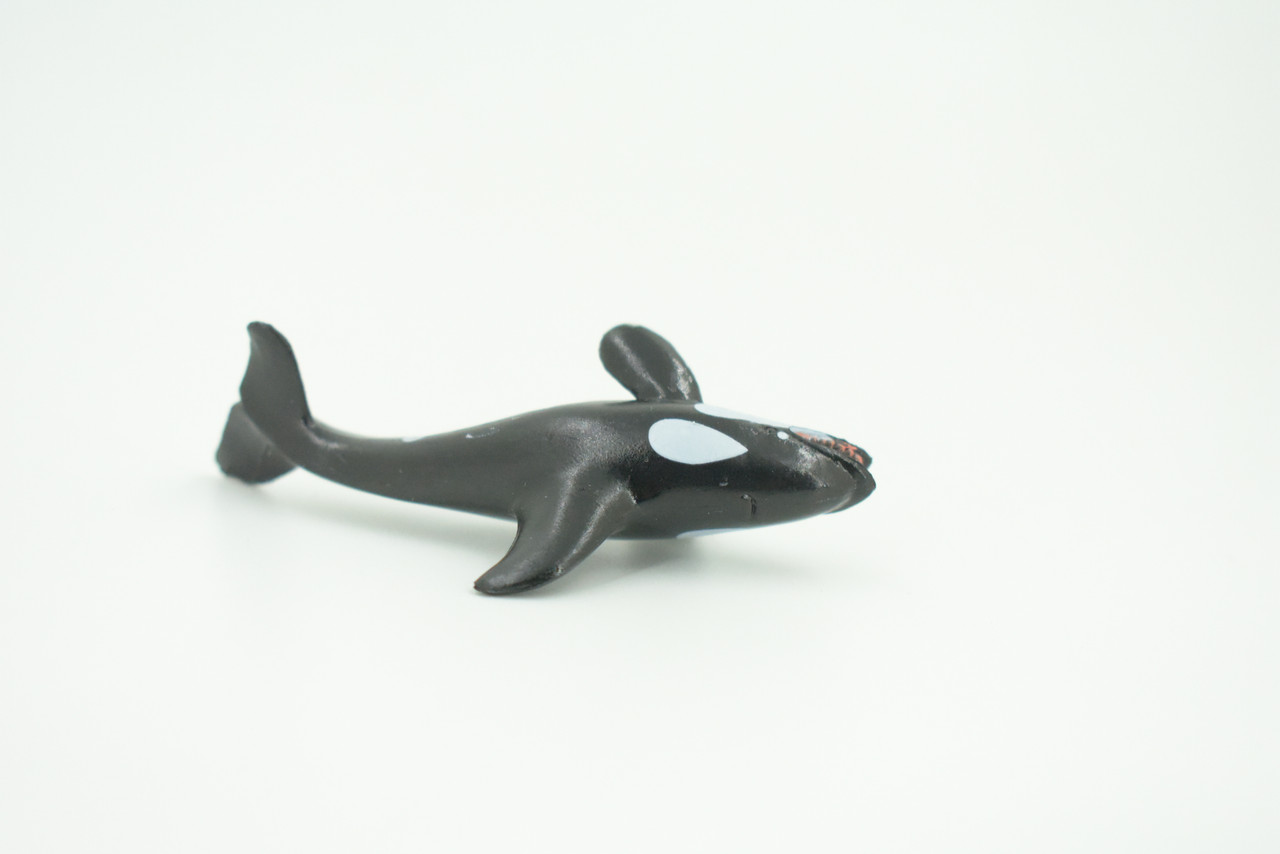 Orca, Killer Whale, Very Nice Plastic Animal, Educational, Toy, Kids, Realistic Figure, Lifelike Model, Figurine, Replica, Gift,   2 3/4"    F7045 B67