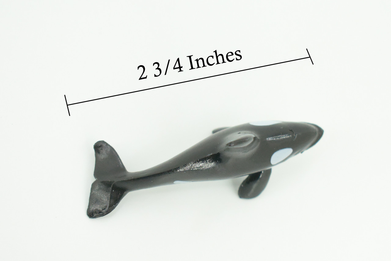Orca, Killer Whale, Very Nice Plastic Animal, Educational, Toy, Kids, Realistic Figure, Lifelike Model, Figurine, Replica, Gift,   2 3/4"    F7045 B67