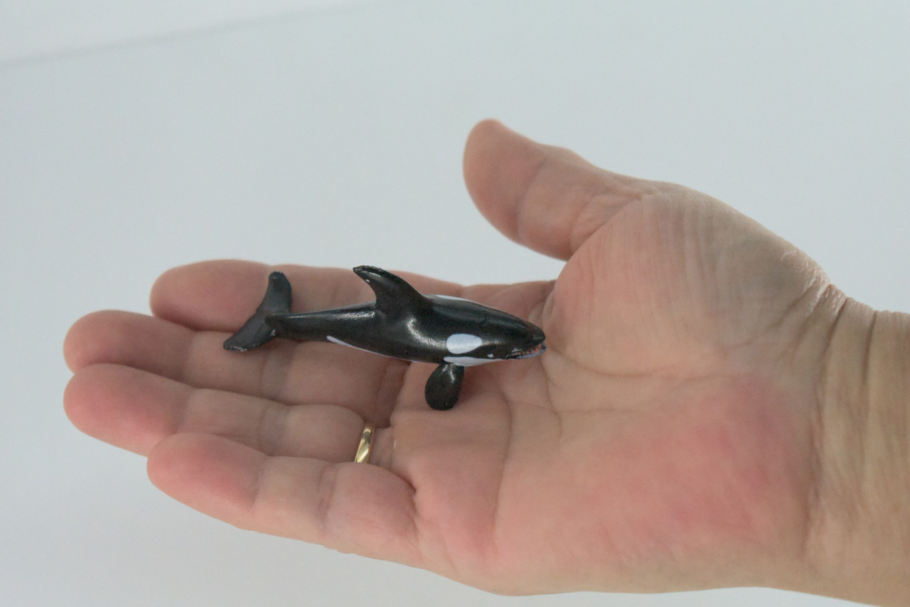 Orca, Killer Whale, Very Nice Plastic Animal, Educational, Toy, Kids, Realistic Figure, Lifelike Model, Figurine, Replica, Gift,   2 3/4"    F7045 B67