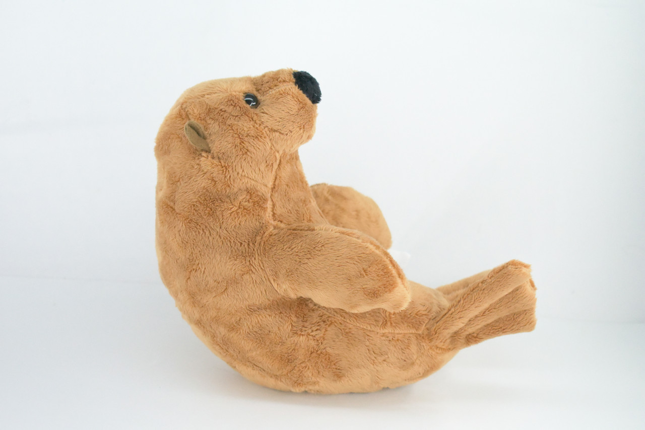 Seal, True Seal, Sea Dog, Very Nice Plush Marine Animal, Educational, Realistic Design, Educational, Figure, Lifelike, Gift,    10"   RE06 BB320