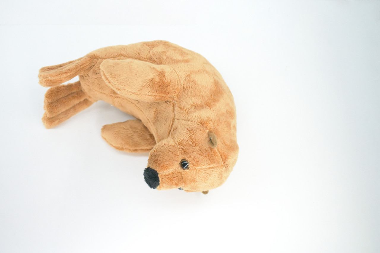 Seal, True Seal, Sea Dog, Very Nice Plush Marine Animal, Educational, Realistic Design, Educational, Figure, Lifelike, Gift,    10"   RE06 BB320