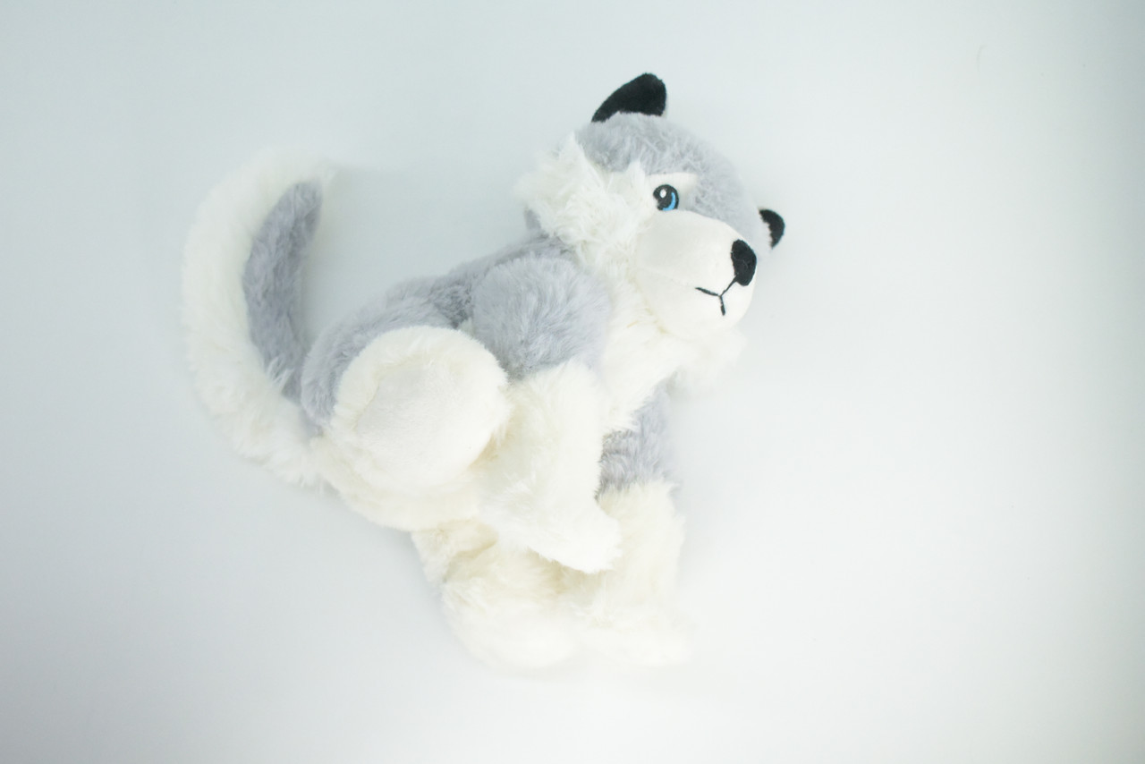 Husky Dog, Siberian Husky, Sitting, Very Nice Plush Animal, Educational, Realistic Design, Educational, Figure, Lifelike, Gift,    8"    RE11 BB320