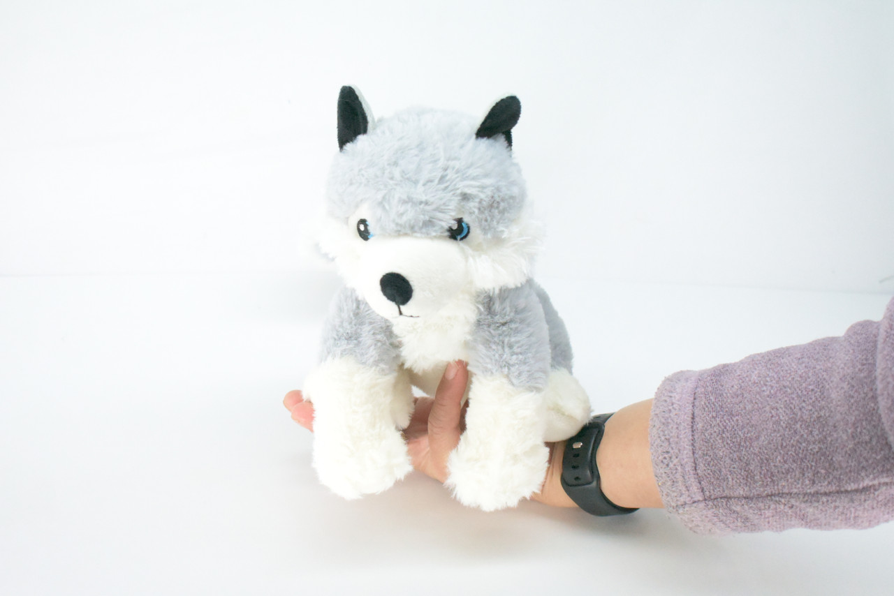 Husky Dog, Siberian Husky, Sitting, Very Nice Plush Animal, Educational, Realistic Design, Educational, Figure, Lifelike, Gift,    8"    RE11 BB320
