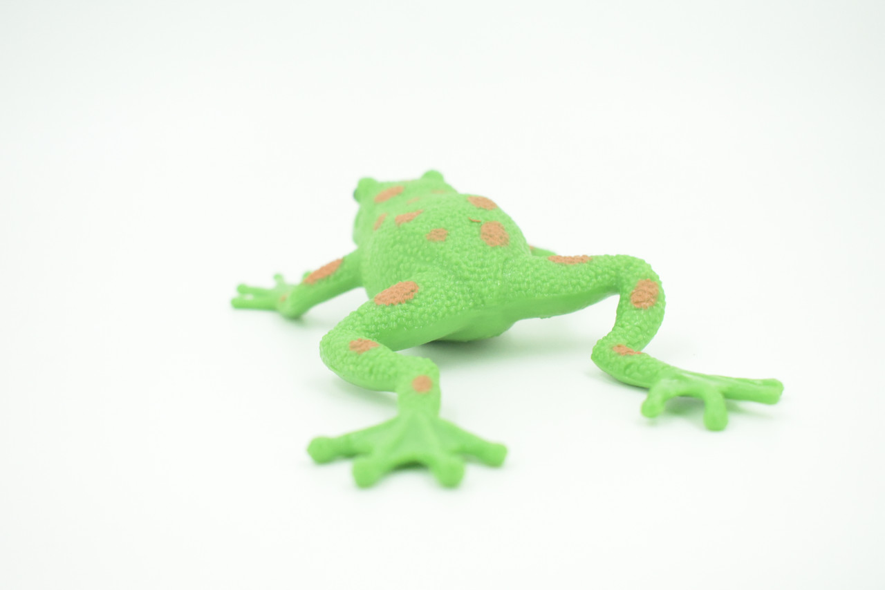 Frog, Stretchable, Squishy, Squeezable, Very nice Soft Rubber Amphibian, Educational, Realistic, Hand Painted, Figure, Replica, Gift,    6"     US02 B59