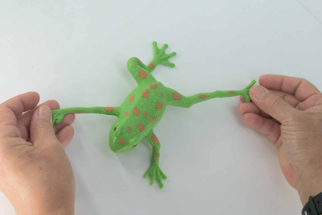 Frog, Stretchable, Squishy, Squeezable, Very nice Soft Rubber Amphibian, Educational, Realistic, Hand Painted, Figure, Replica, Gift,    6"     US02 B59