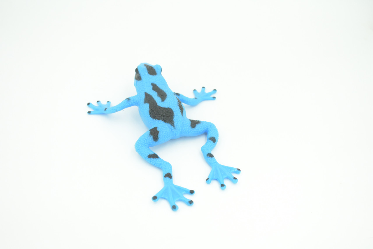 Frog, Stretchable, Squishy, Squeezable, Very nice Soft Rubber Amphibian, Educational, Realistic, Hand Painted, Figure, Replica, Gift,    6"     US03 B59