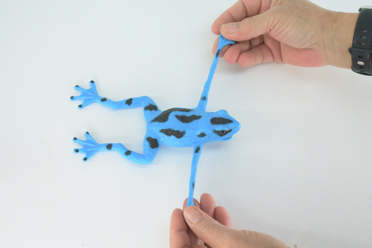 Frog, Stretchable, Squishy, Squeezable, Very nice Soft Rubber Amphibian, Educational, Realistic, Hand Painted, Figure, Replica, Gift,    6"     US03 B59