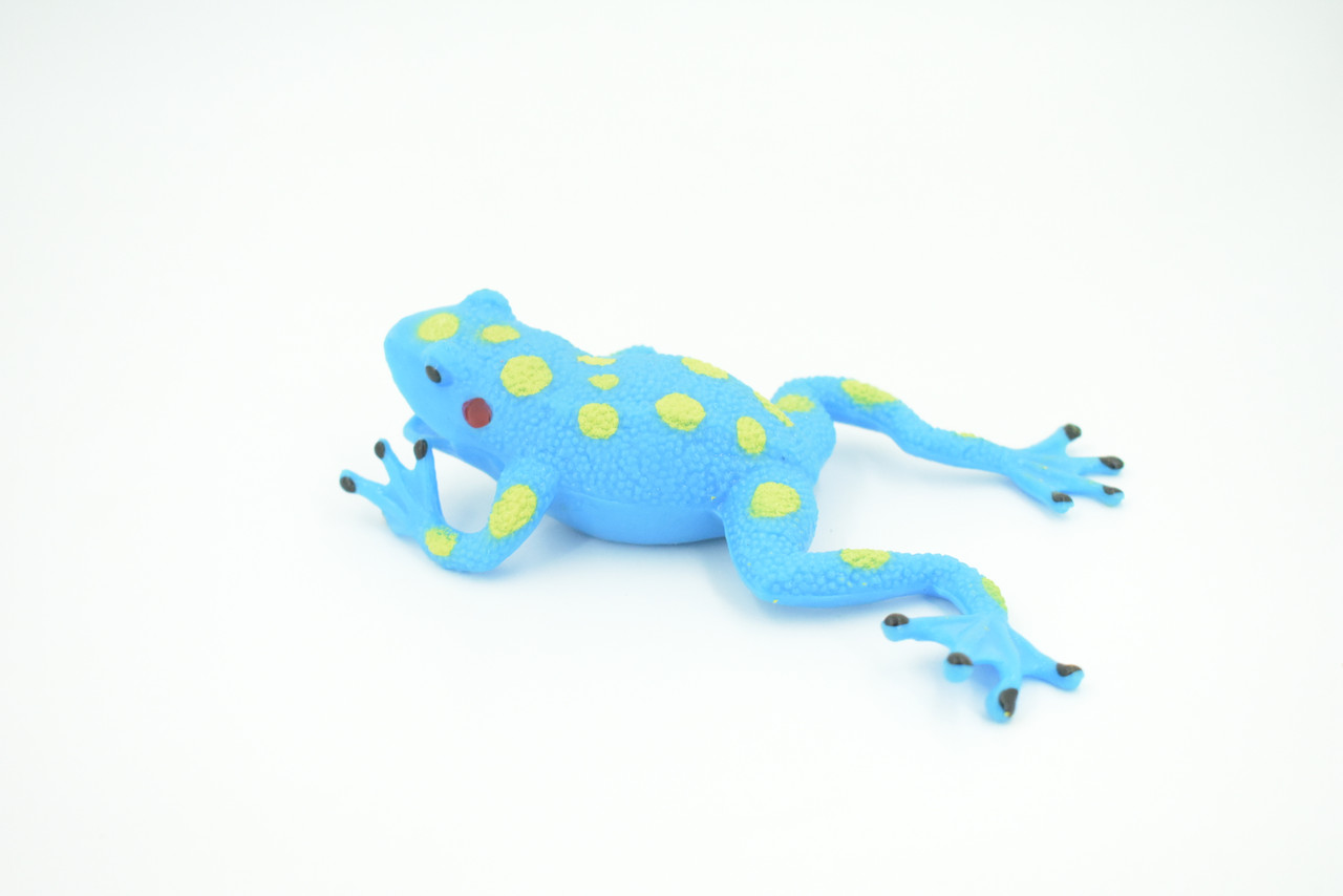 Frog, Stretchable, Squishy, Squeezable, Very nice Soft Rubber Amphibian, Educational, Realistic, Hand Painted, Figure, Replica, Gift,    6"     US04 B59