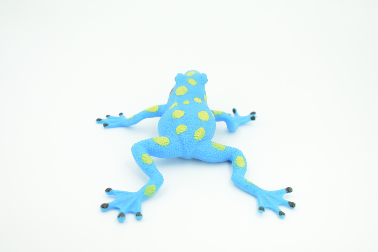 Frog, Stretchable, Squishy, Squeezable, Very nice Soft Rubber Amphibian, Educational, Realistic, Hand Painted, Figure, Replica, Gift,    6"     US04 B59