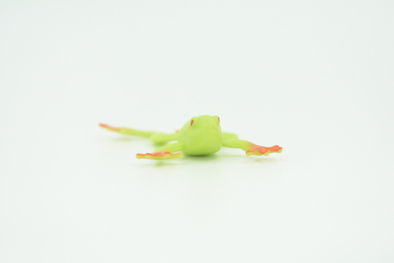 Tree Frog, 4 or 8 or 12 Piece Sets, Rubber Amphibian, Educational, Realistic Hand Painted, Figure, Lifelike Model, Figurine, Replica, Gift,   2 1/2"   US12 B58