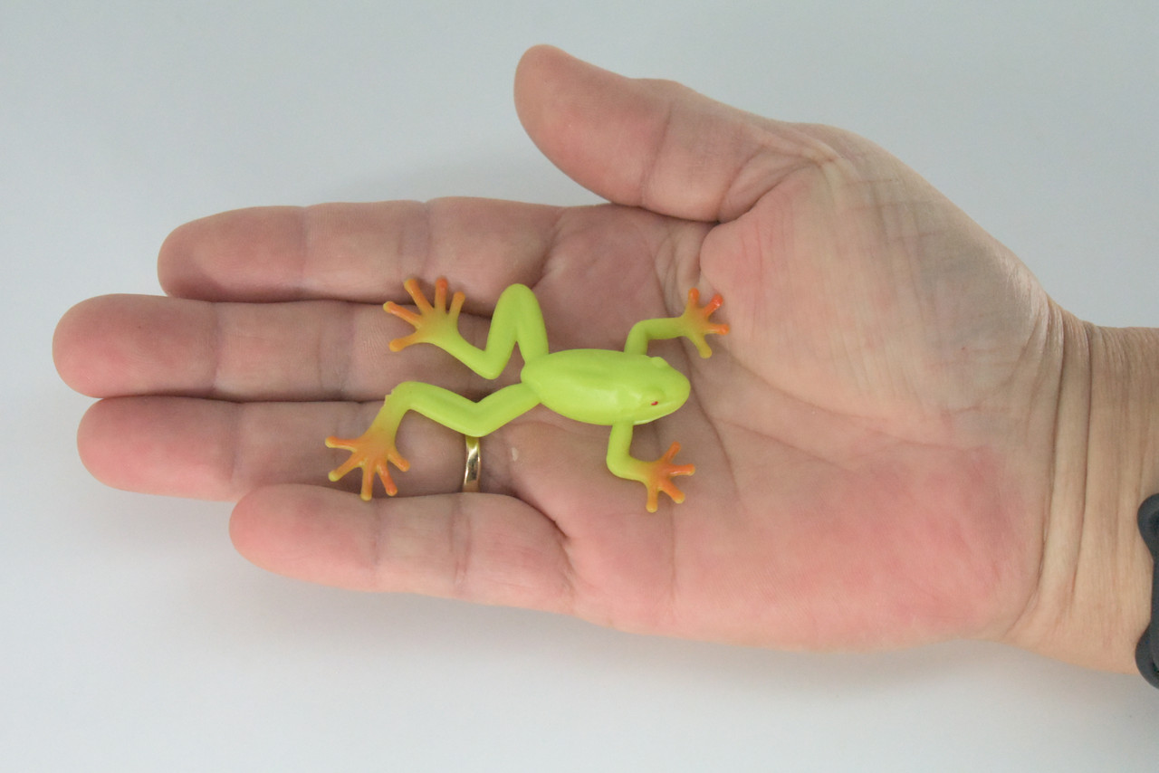 Tree Frog, 4 or 8 or 12 Piece Sets, Rubber Amphibian, Educational, Realistic Hand Painted, Figure, Lifelike Model, Figurine, Replica, Gift,   2 1/2"   US12 B58