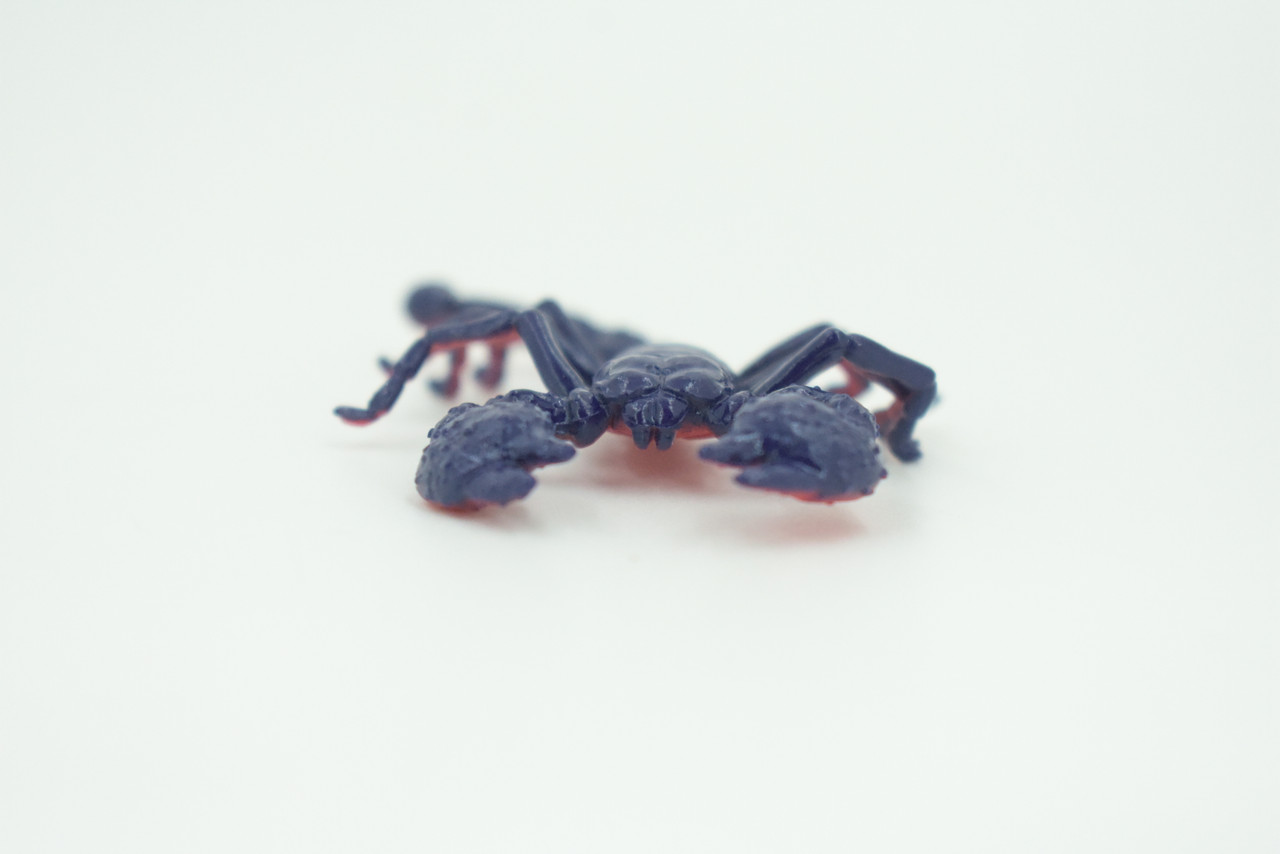 Scorpion, Very Nice Rubber arachnid, Educational, Realistic Hand Painted, Figure, Lifelike Model, Figurine, Replica, Gift,   3"   US14 B44