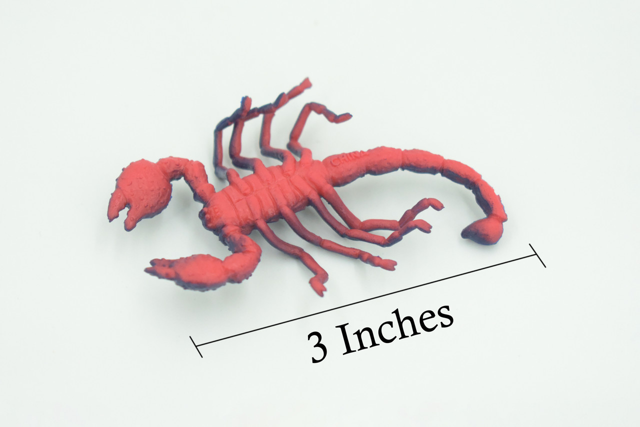 Scorpion, Very Nice Rubber arachnid, Educational, Realistic Hand Painted, Figure, Lifelike Model, Figurine, Replica, Gift,   3"   US14 B44