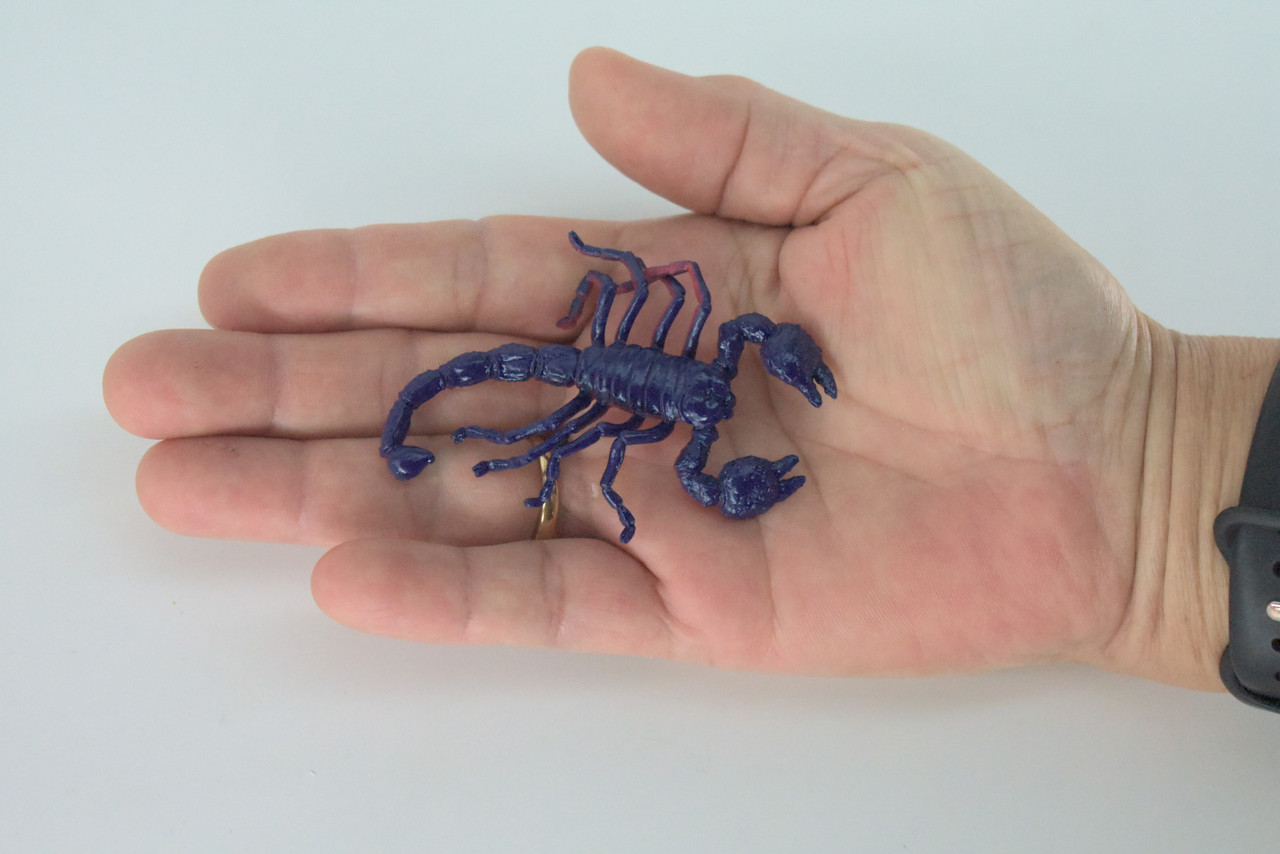 Scorpion, Very Nice Rubber arachnid, Educational, Realistic Hand Painted, Figure, Lifelike Model, Figurine, Replica, Gift,   3"   US14 B44