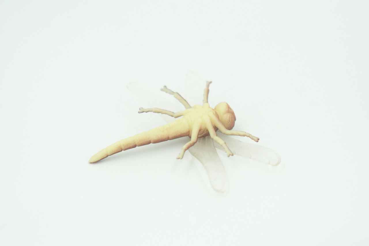 Dragonfly, Very Nice Rubber Insect, Educational, Realistic Hand Painted, Figure, Lifelike Model, Figurine, Replica, Gift,   2"   US15 B44