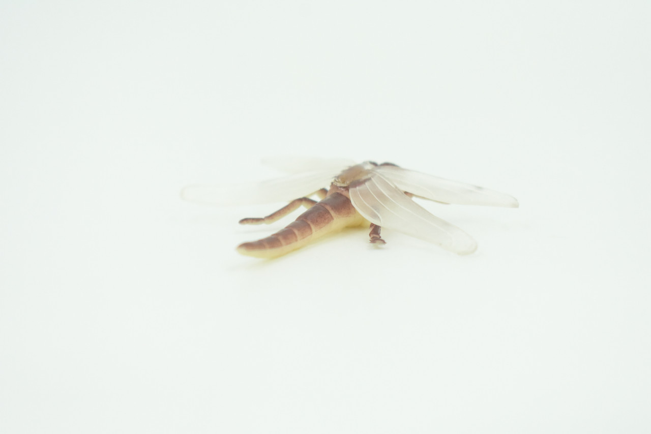 Dragonfly, Very Nice Rubber Insect, Educational, Realistic Hand Painted, Figure, Lifelike Model, Figurine, Replica, Gift,   2"   US15 B44