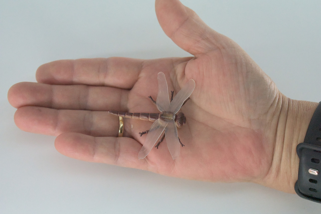 Dragonfly, Very Nice Rubber Insect, Educational, Realistic Hand Painted, Figure, Lifelike Model, Figurine, Replica, Gift,   2"   US15 B44