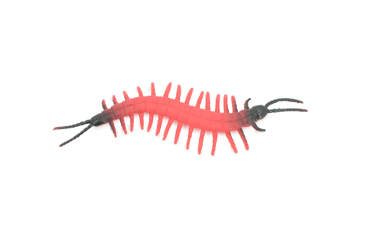 Centipede, Very Nice Rubber Insect, Educational, Realistic Hand Painted, Figure, Lifelike Model, Figurine, Replica, Gift, 3 1/2" US16 B44