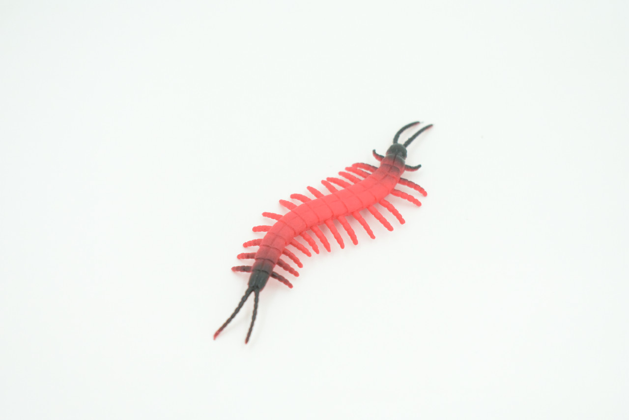 Centipede, Very Nice Rubber Insect, Educational, Realistic Hand Painted, Figure, Lifelike Model, Figurine, Replica, Gift,     3 1/2"   US16 B44