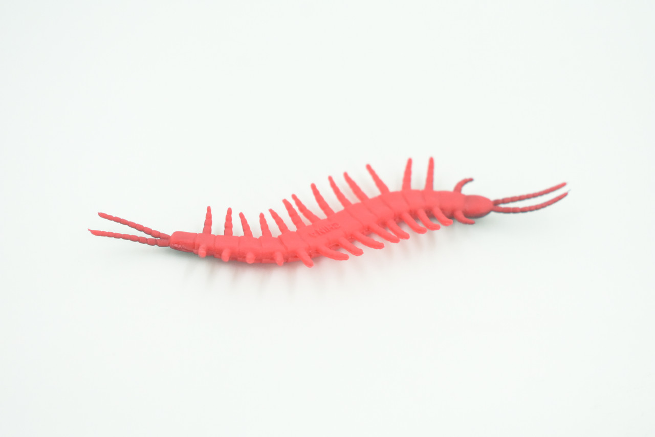 Centipede, Very Nice Rubber Insect, Educational, Realistic Hand Painted, Figure, Lifelike Model, Figurine, Replica, Gift,     3 1/2"   US16 B44