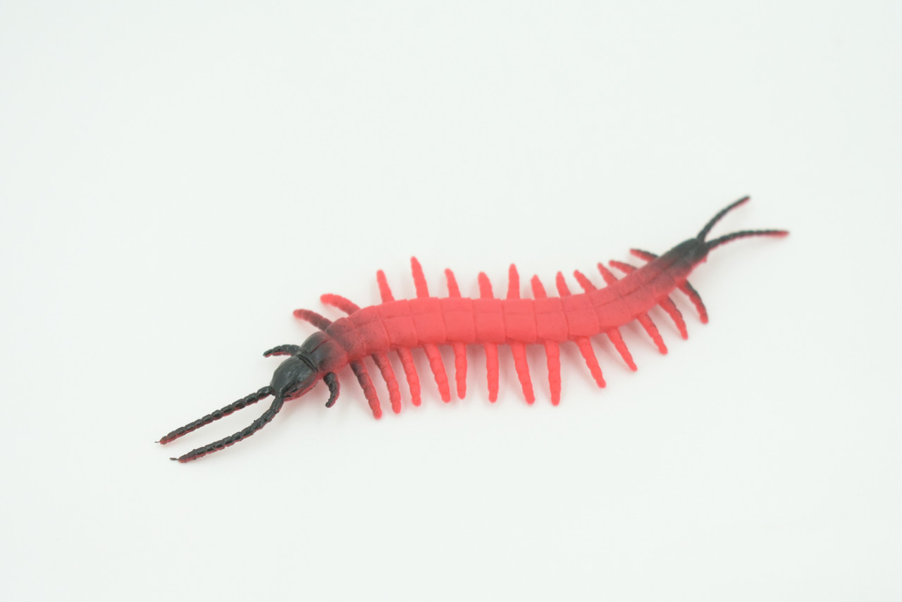 Centipede, Very Nice Rubber Insect, Educational, Realistic Hand Painted, Figure, Lifelike Model, Figurine, Replica, Gift,     3 1/2"   US16 B44