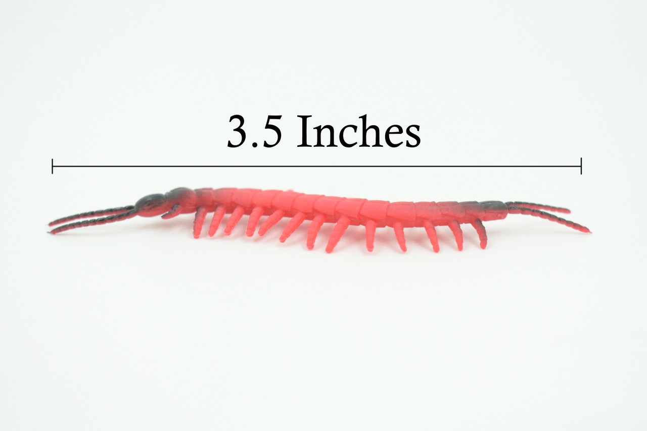 Centipede, Very Nice Rubber Insect, Educational, Realistic Hand Painted, Figure, Lifelike Model, Figurine, Replica, Gift,     3 1/2"   US16 B44