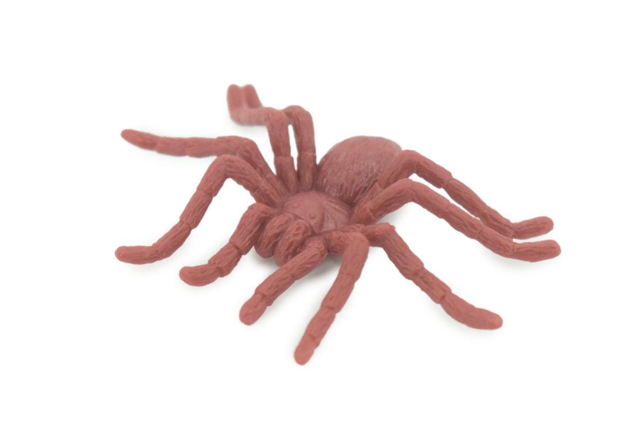 Spider, Very Nice Rubber Insect, Educational, Realistic Hand Painted, Figure, Lifelike Model, Figurine, Replica, Gift, 2" US17 B44