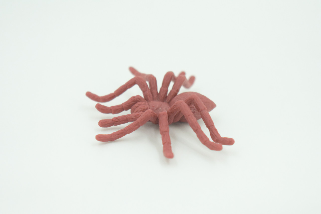 Spider, Very Nice Rubber Insect, Educational, Realistic Hand Painted, Figure, Lifelike Model, Figurine, Replica, Gift,     2"   US17 B44