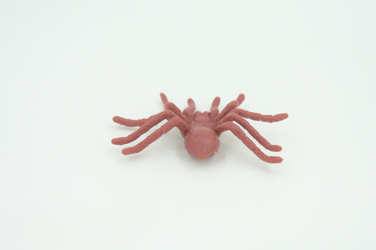Spider, Very Nice Rubber Insect, Educational, Realistic Hand Painted, Figure, Lifelike Model, Figurine, Replica, Gift,     2"   US17 B44