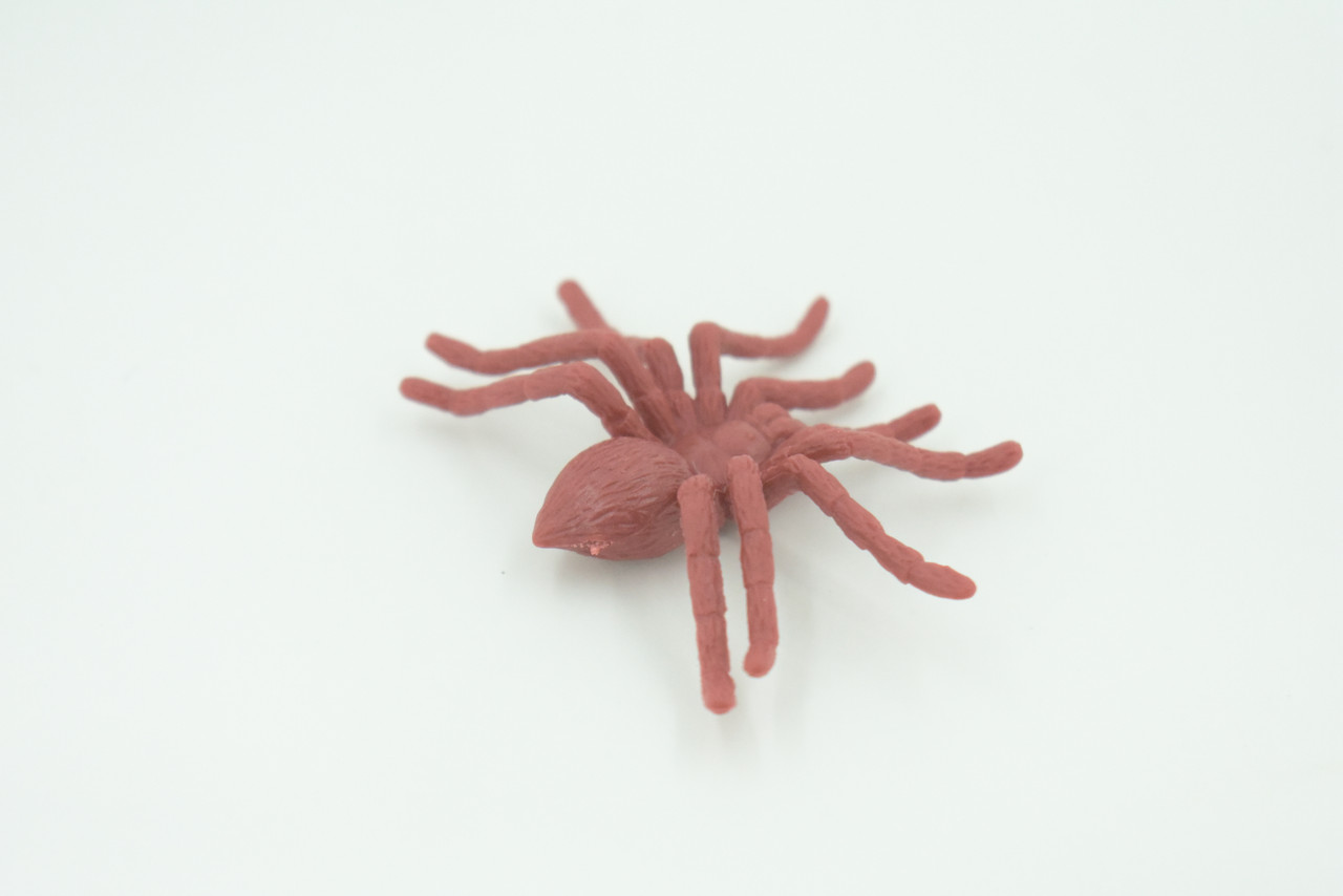 Spider, Very Nice Rubber Insect, Educational, Realistic Hand Painted, Figure, Lifelike Model, Figurine, Replica, Gift,     2"   US17 B44