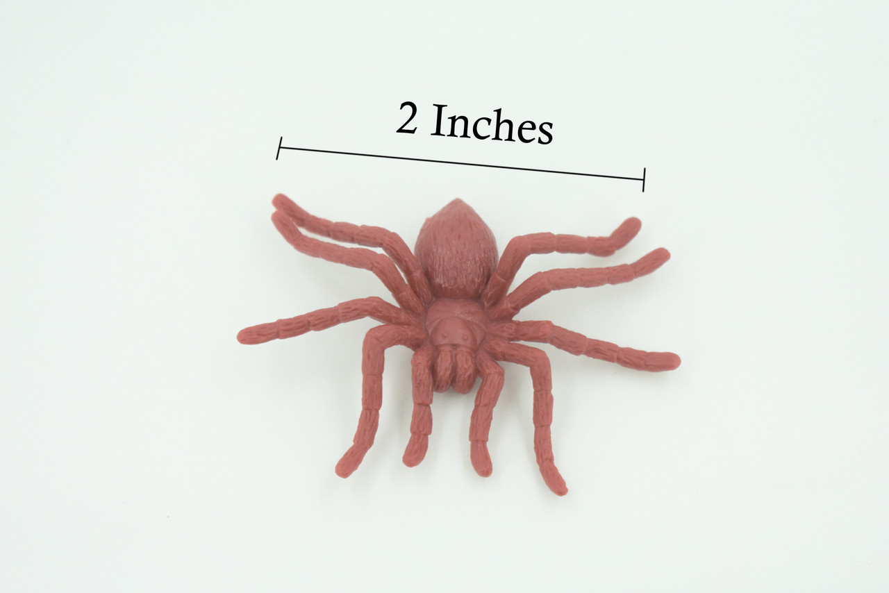 Spider, Very Nice Rubber Insect, Educational, Realistic Hand Painted, Figure, Lifelike Model, Figurine, Replica, Gift,     2"   US17 B44