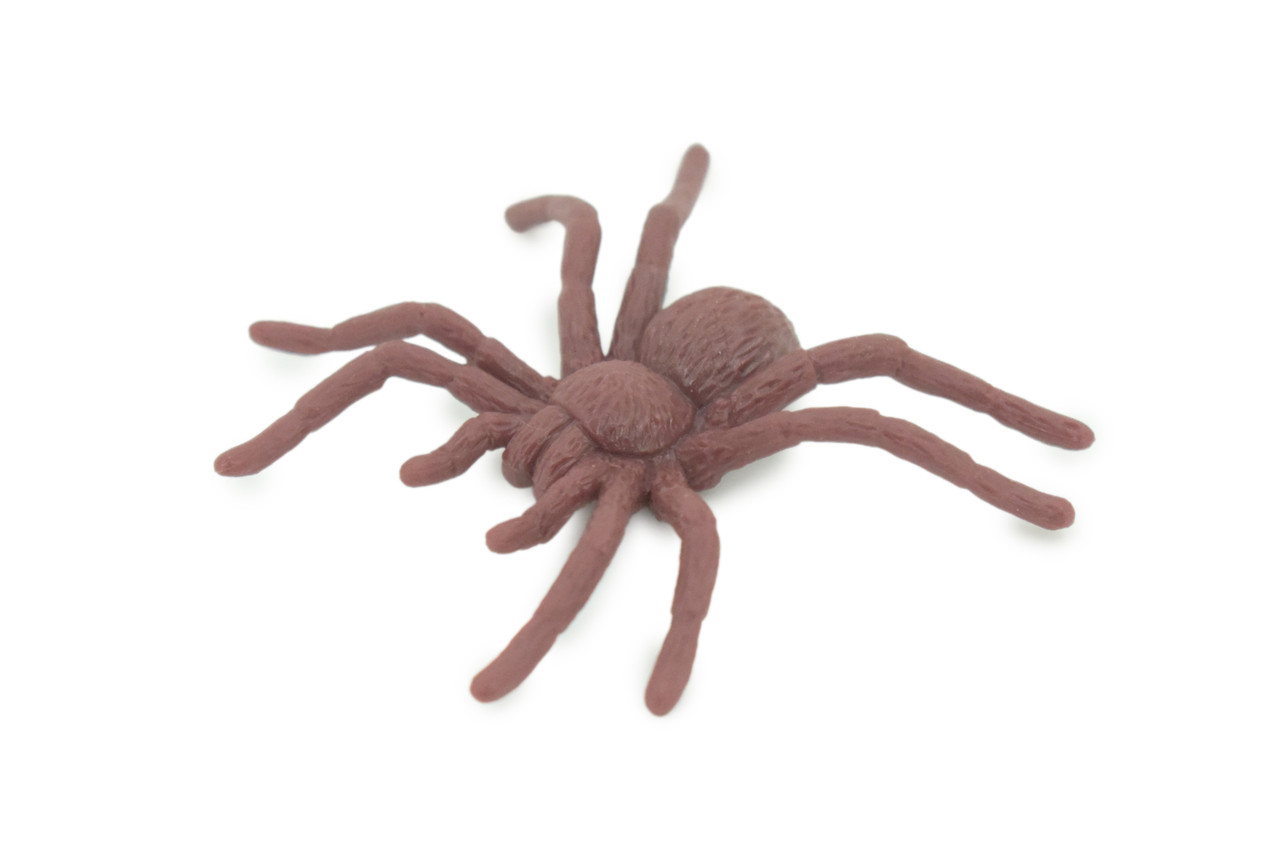 Spider, Very Nice Rubber Insect, Educational, Realistic Hand Painted, Figure, Lifelike Model, Figurine, Replica, Gift, 2" US19 B44