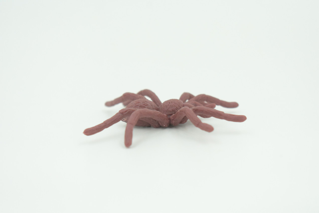 Spider, Very Nice Rubber Insect, Educational, Realistic Hand Painted, Figure, Lifelike Model, Figurine, Replica, Gift,     2"   US19 B44