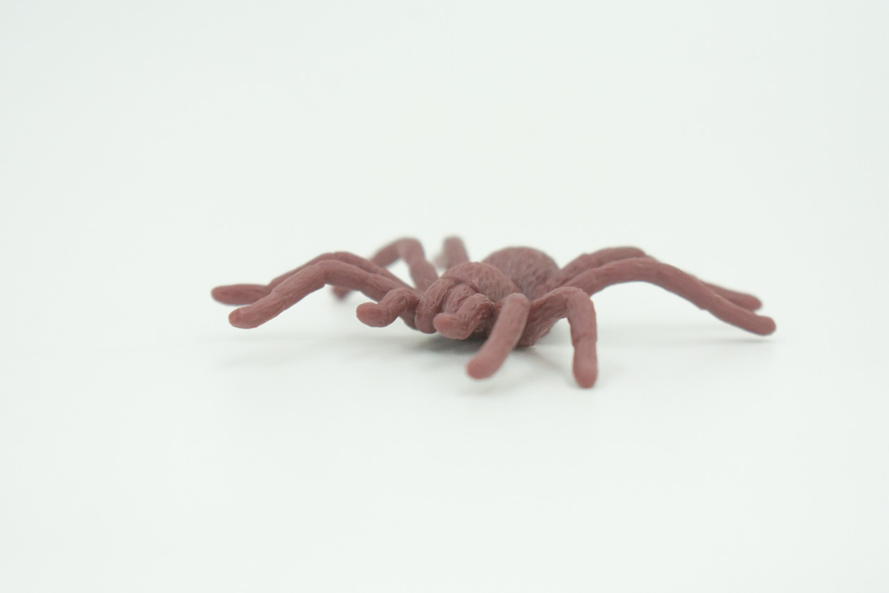 Spider, Very Nice Rubber Insect, Educational, Realistic Hand Painted, Figure, Lifelike Model, Figurine, Replica, Gift,     2"   US19 B44
