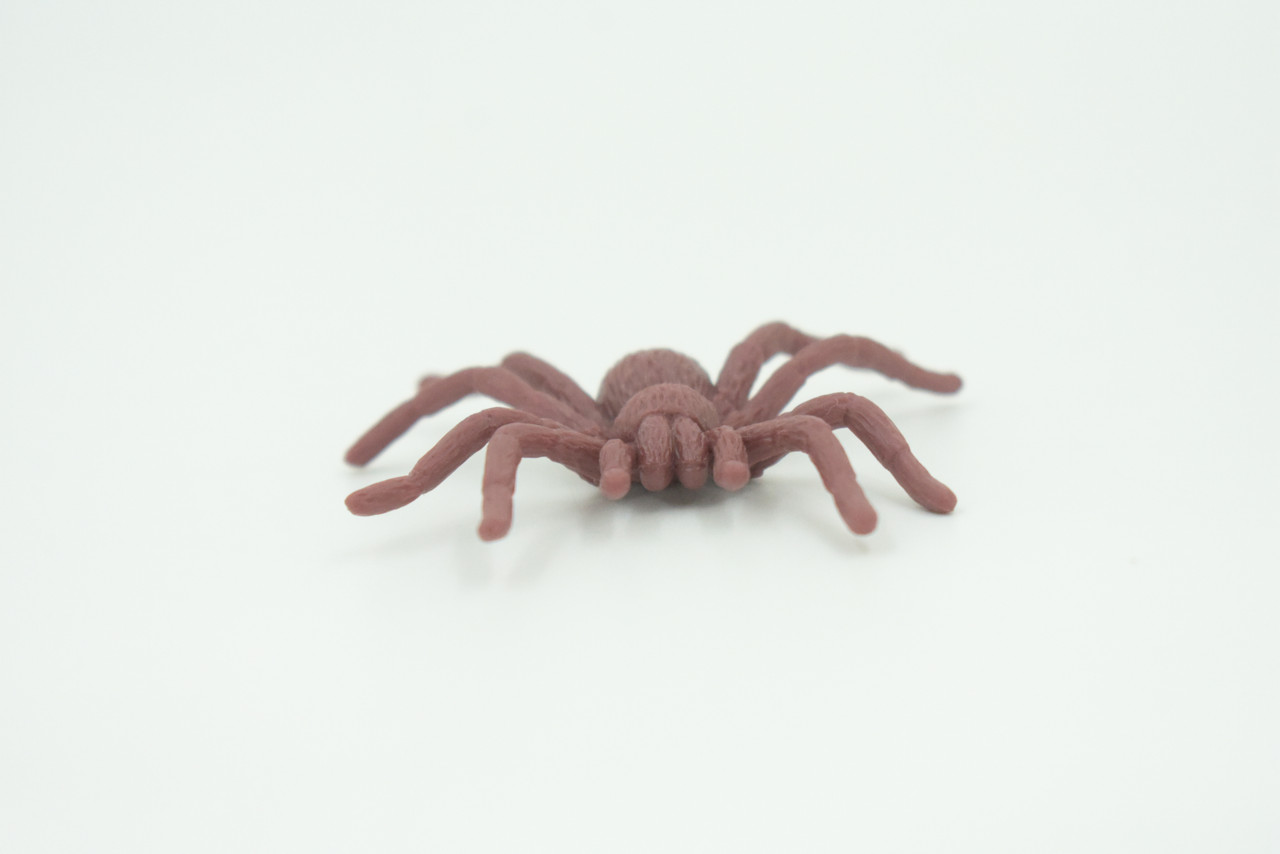 Spider, Very Nice Rubber Insect, Educational, Realistic Hand Painted, Figure, Lifelike Model, Figurine, Replica, Gift,     2"   US19 B44